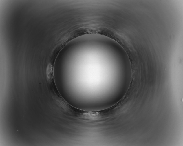 X0000088890480200706081251