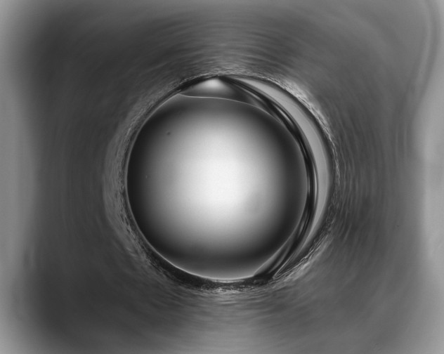 X0000088890481200706081250