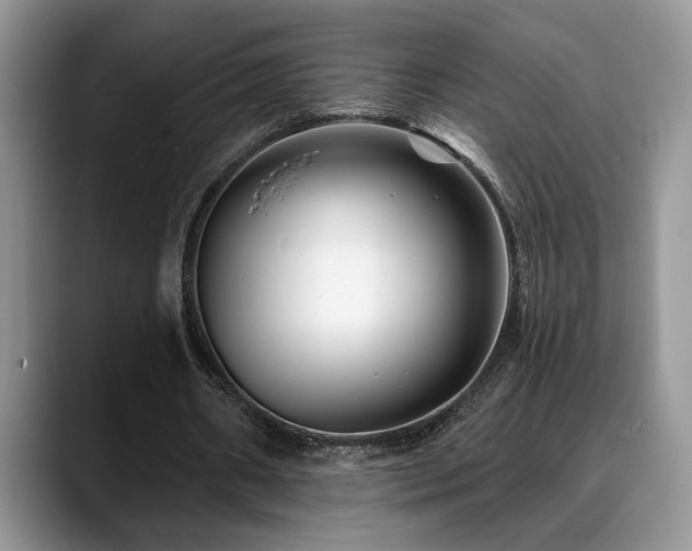 X0000088890482200706081250