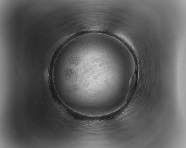 X0000088890483200706081250