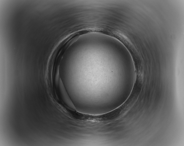 X0000088890484200706081250