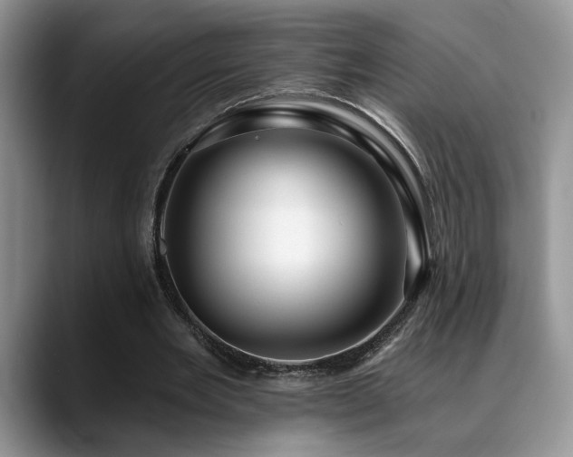 X0000088890485200706081250