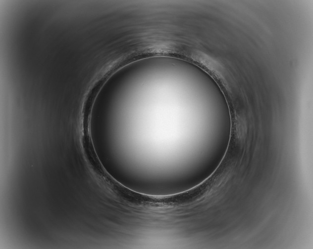 X0000088890486200706081250