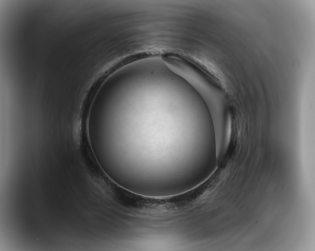 X0000088890488200706081250