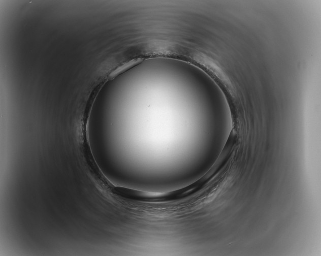 X0000088890489200706081250