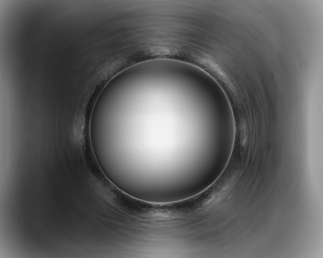 X0000088890490200706081250