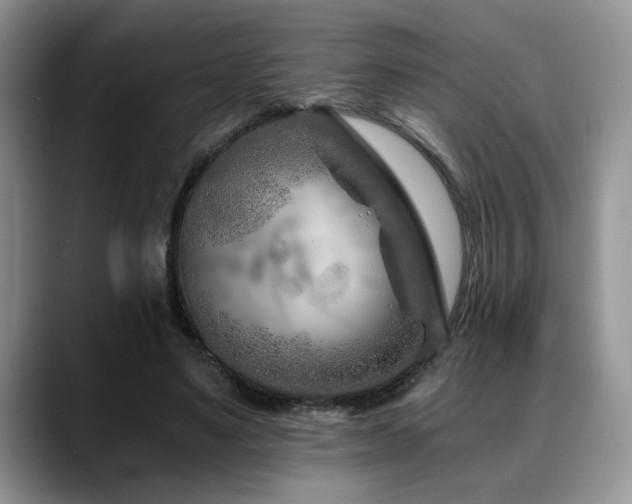 X0000088890491200706081250