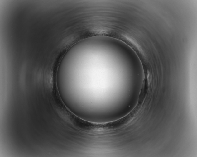 X0000088890494200706081250