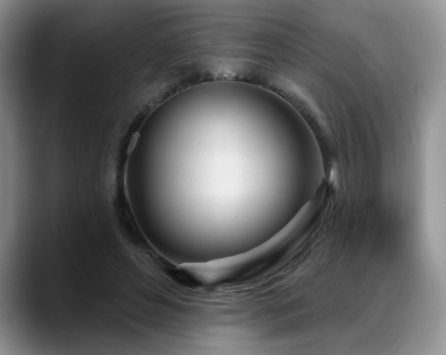 X0000088890496200706081250