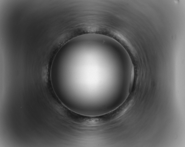 X0000088890497200706081250