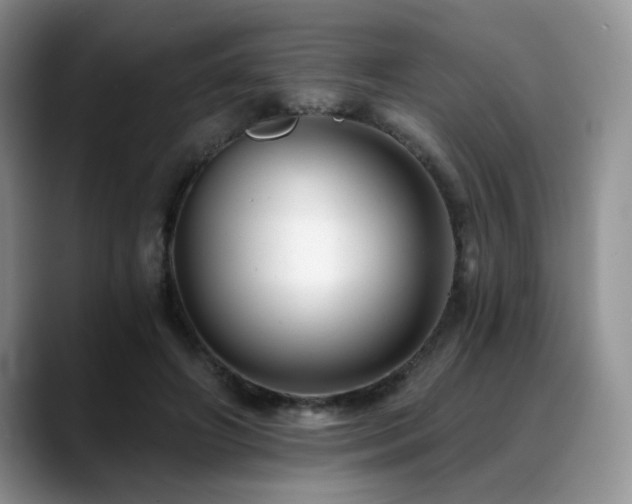 X0000088890498200706081250