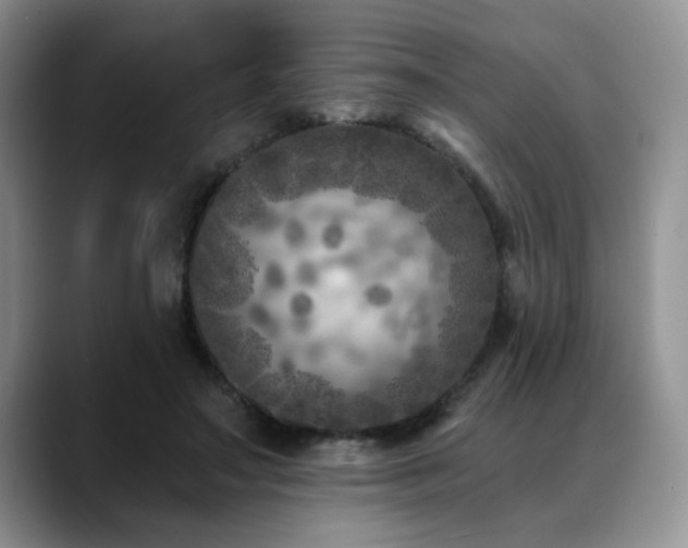 X0000088890499200706081250