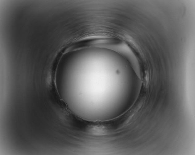 X0000088890500200706081250