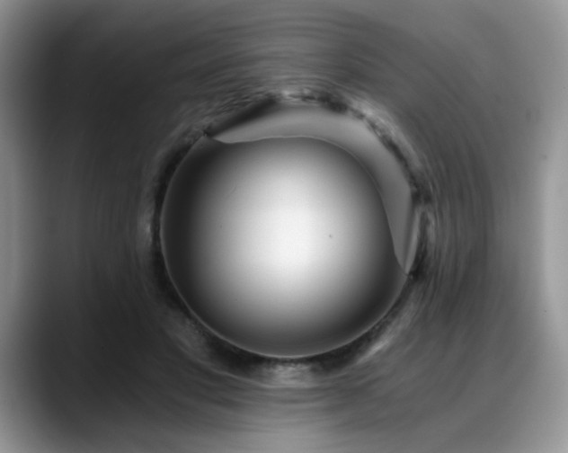 X0000088890501200706081250