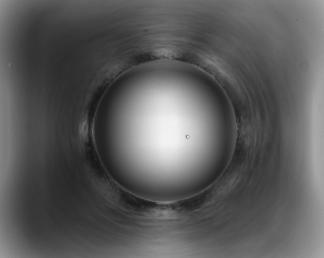 X0000088890502200706081250