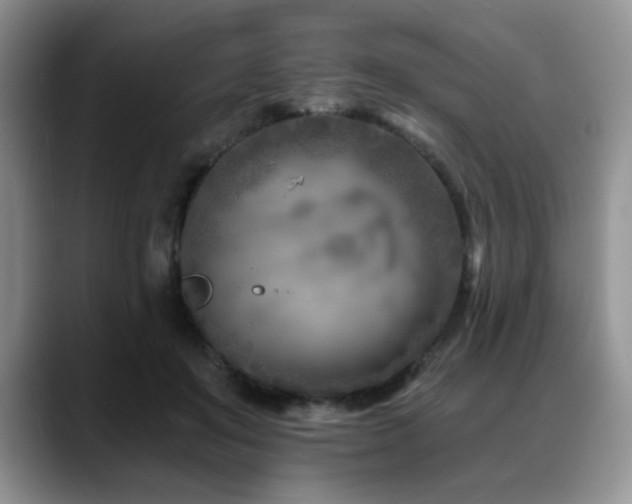 X0000088890503200706081250