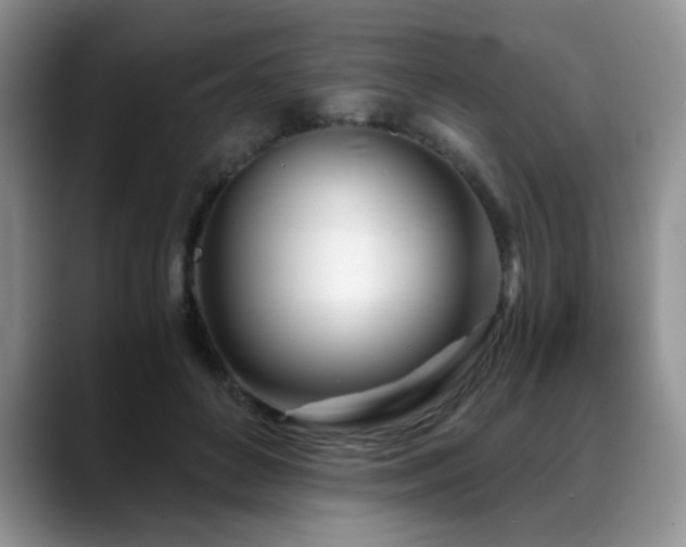 X0000088890504200706081250