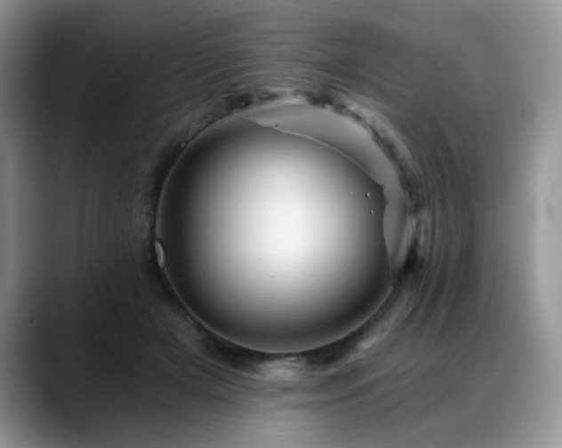 X0000088890505200706081250