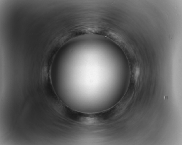 X0000088890506200706081250