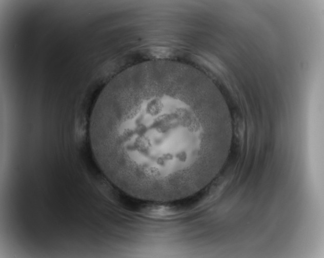 X0000088890507200706081250