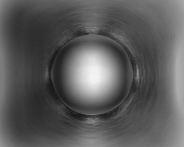 X0000088890508200706081250