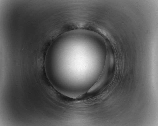 X0000088890509200706081250