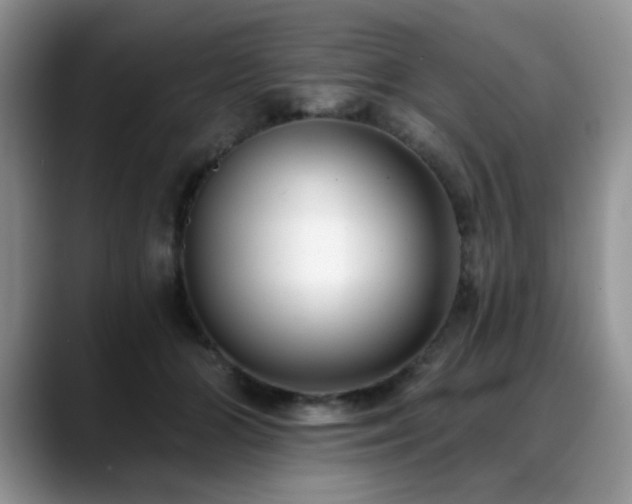 X0000088890510200706081250