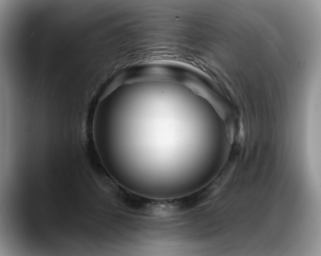 X0000088890512200706081250