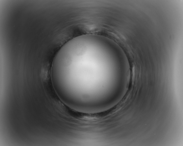 X0000088890515200706081250