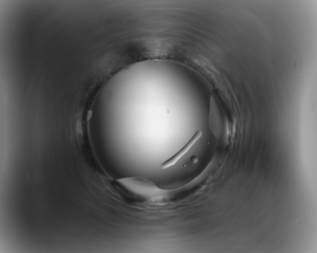 X0000088890516200706081250