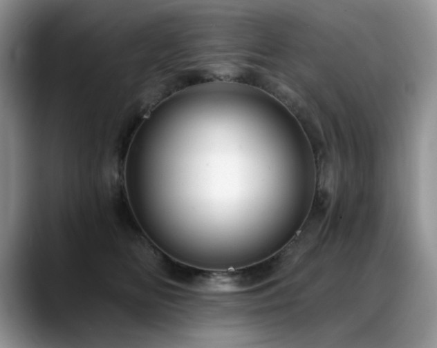 X0000088890518200706081250