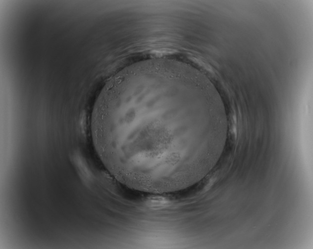 X0000088890519200706081250