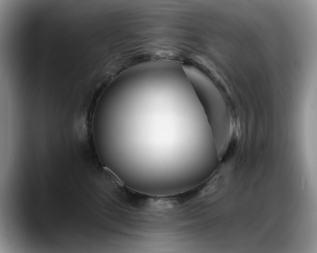 X0000088890520200706081250