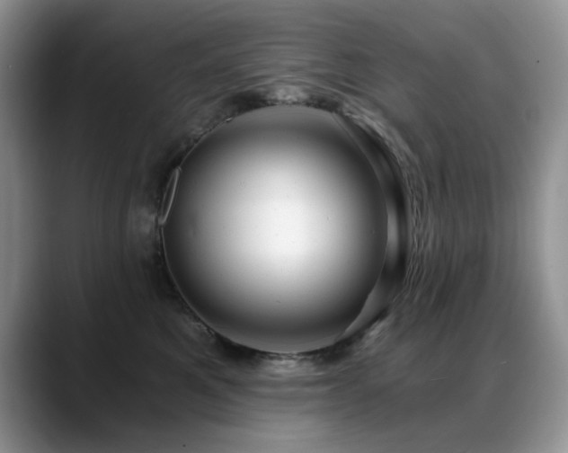 X0000088890521200706081250