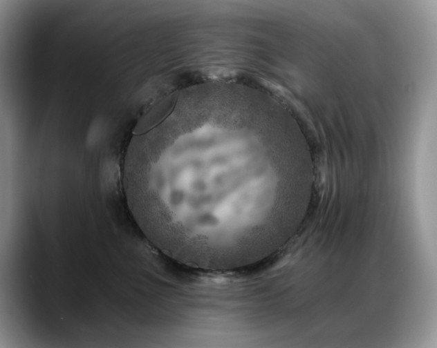 X0000088890523200706081250