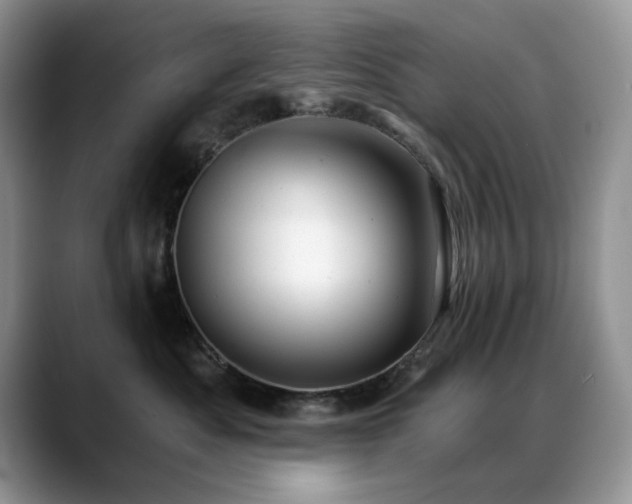 X0000088890525200706081250