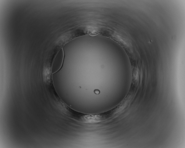 X0000088890526200706081250