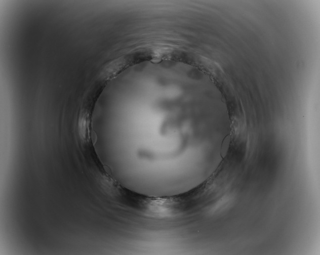 X0000088890527200706081250