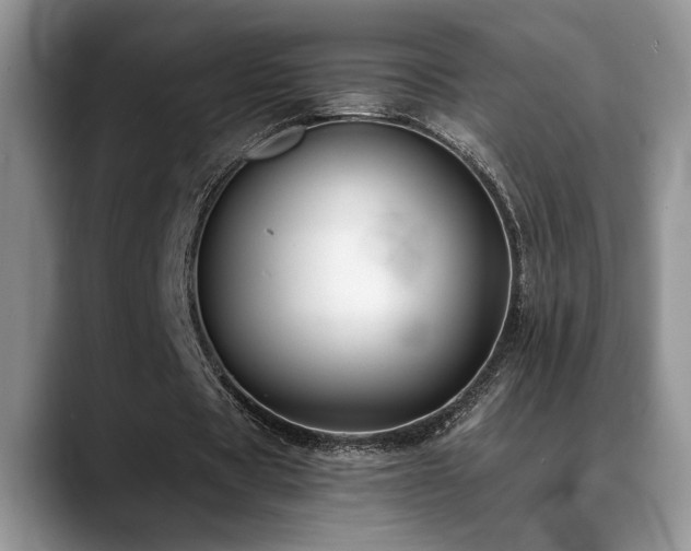 X0000088890529200706081249