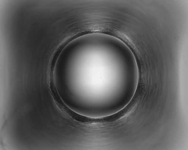 X0000088890530200706081249