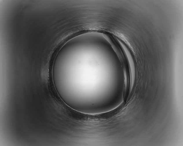 X0000088890531200706081249