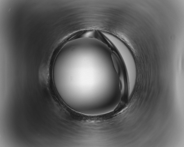 X0000088890532200706081249