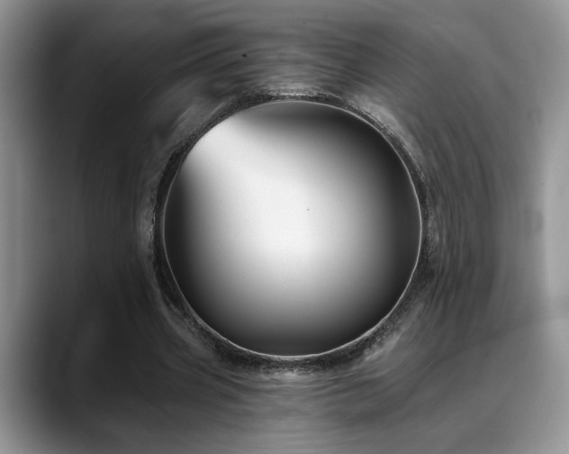 X0000088890533200706081249