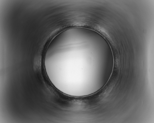 X0000088890534200706081249