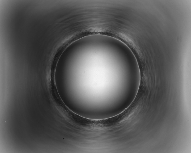 X0000088890535200706081249