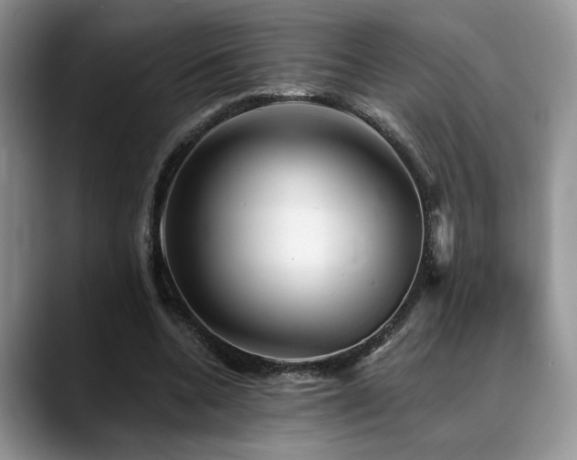 X0000088890536200706081249