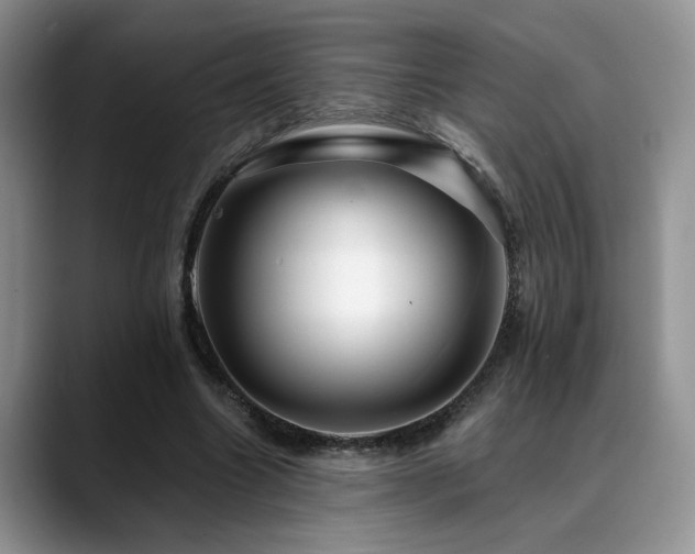 X0000088890538200706081249