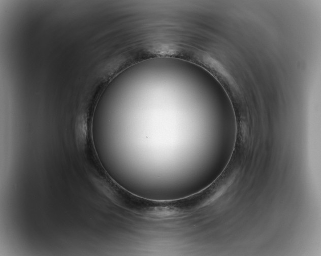 X0000088890541200706081250