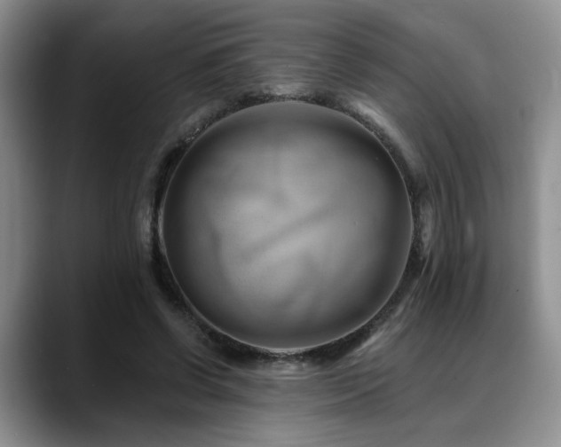 X0000088890542200706081250