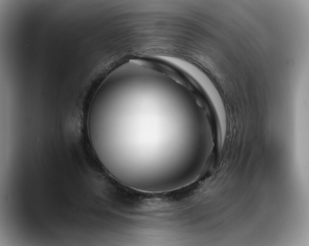 X0000088890544200706081250